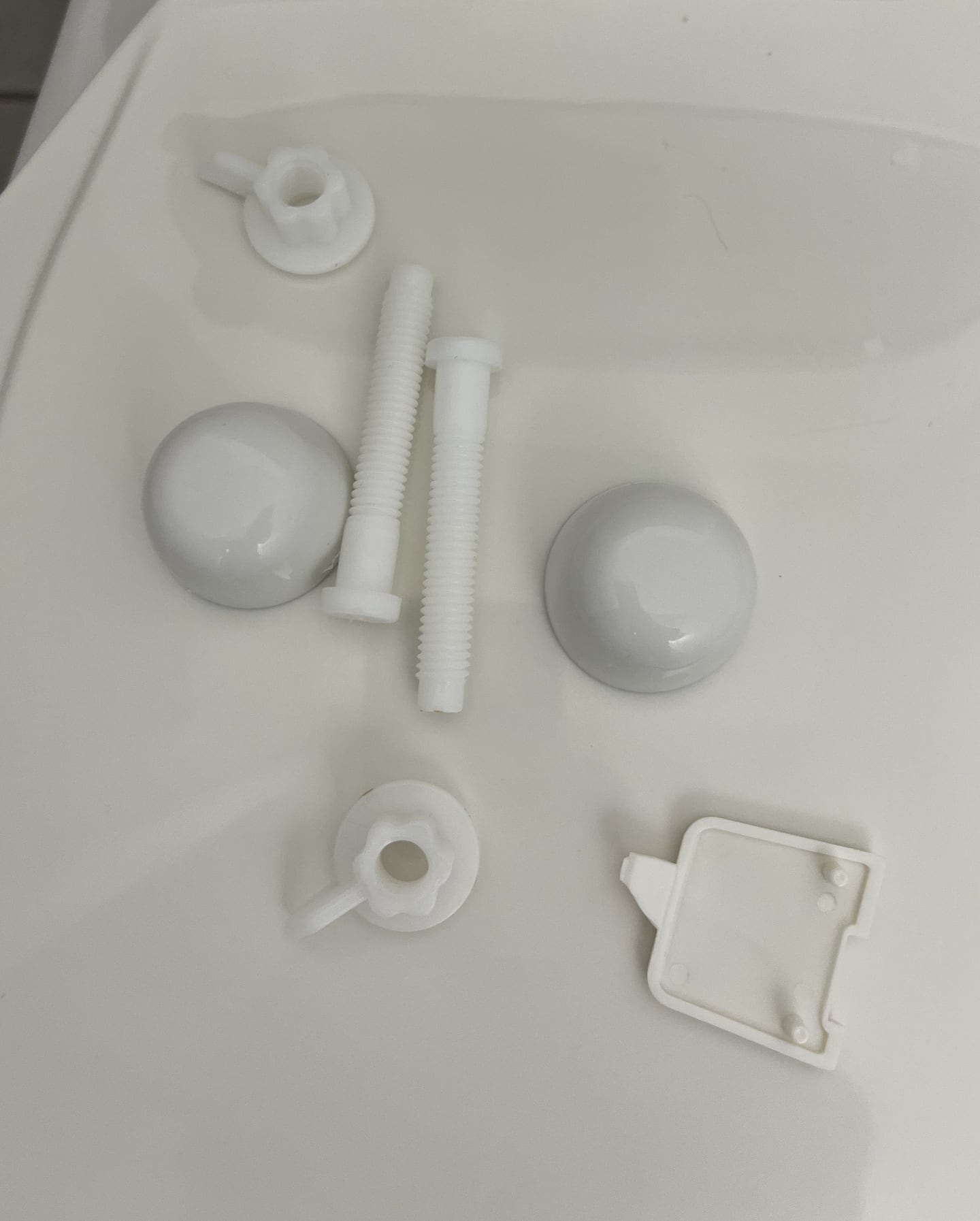 Small removable bathroom hardware cleaned separately during a bathroom detail.