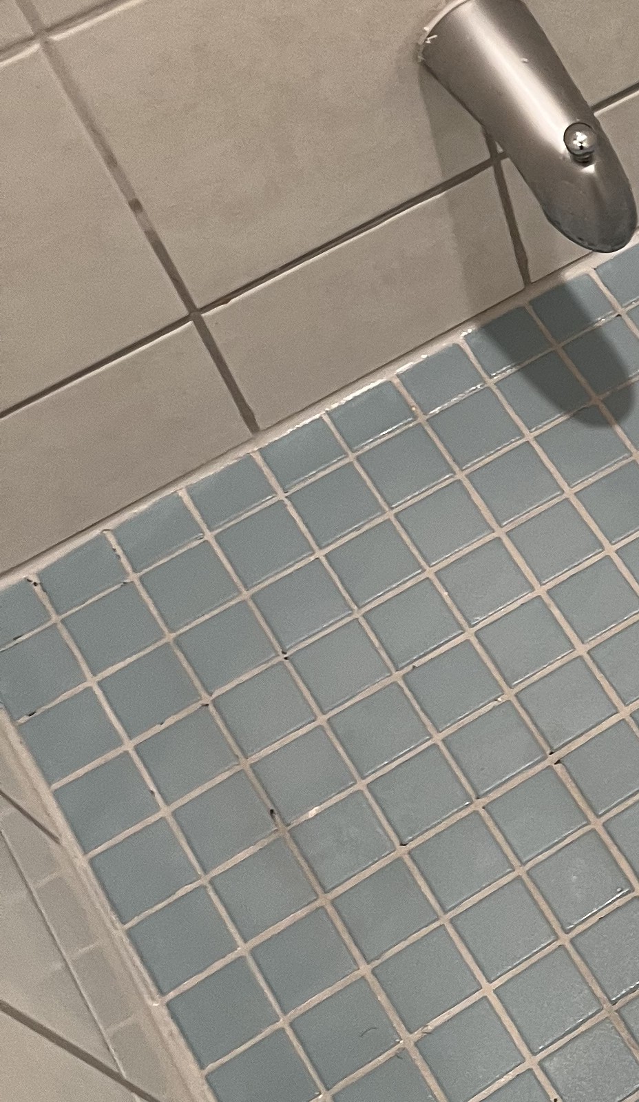 Clean shower floor grout lines after bathroom detail cleaning.